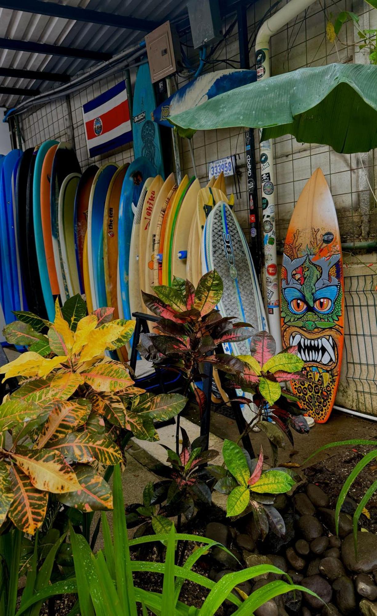 El Chante Surf House Playa Santa Teresa  Εξωτερικό φωτογραφία